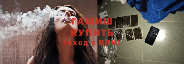 сатива Бородино