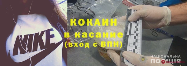 сатива Бородино