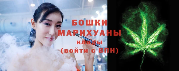 индика Верея
