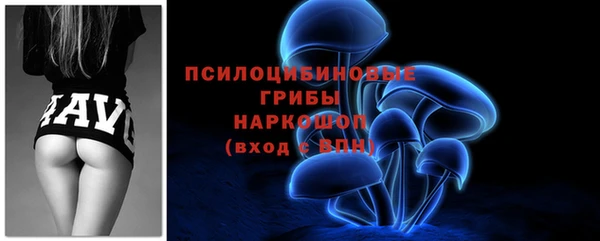индика Верея