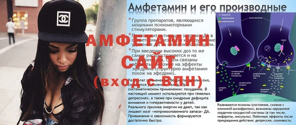 сатива Бородино
