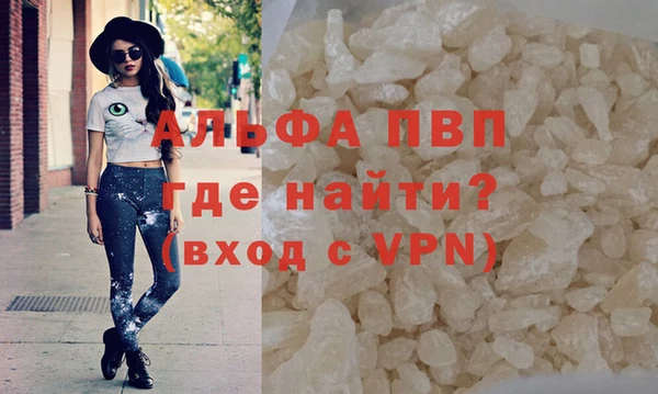 индика Верея