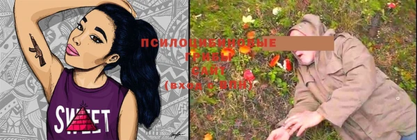 винт Бугульма