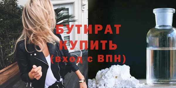 сатива Бородино