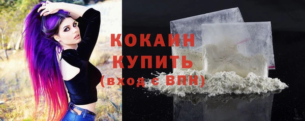 сатива Бородино