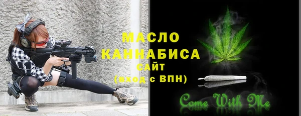 сатива Бородино