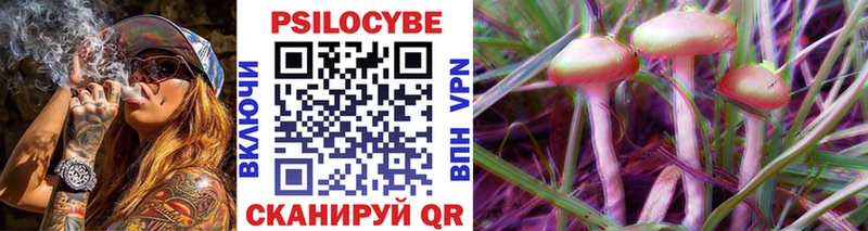 omg вход  Безенчук  Галлюциногенные грибы Magic Shrooms 